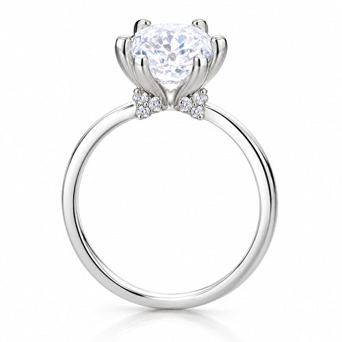 Anillo Feyra Plata 925