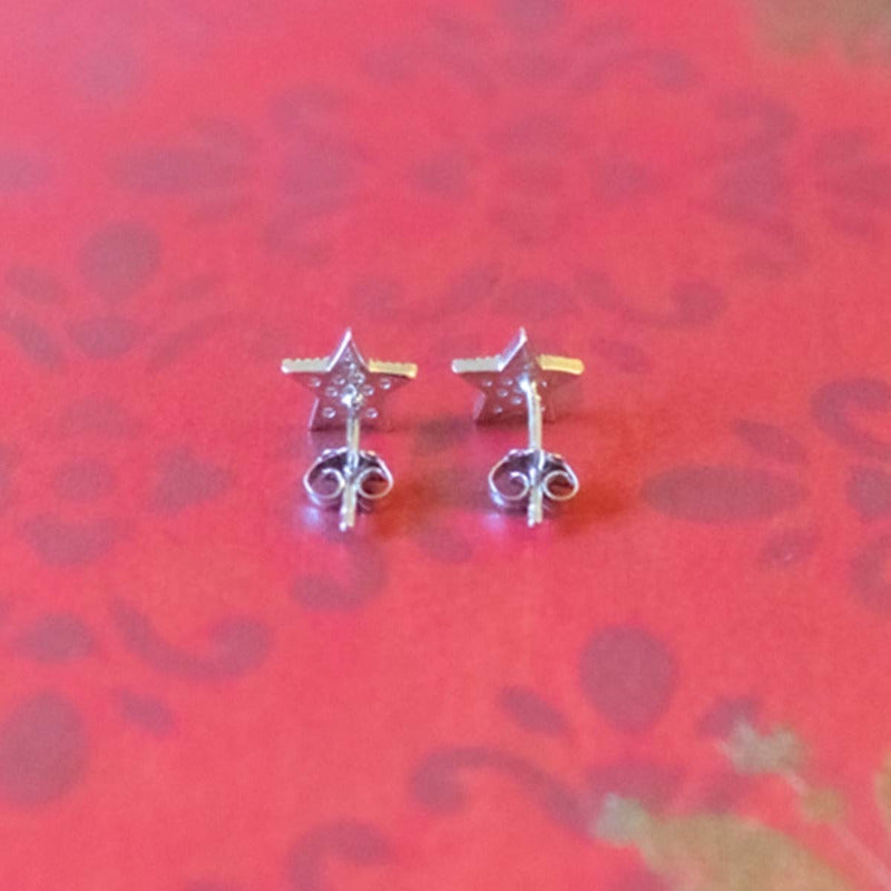 Aros Seravon Plata 925