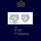 Aros Aureli Plata 925